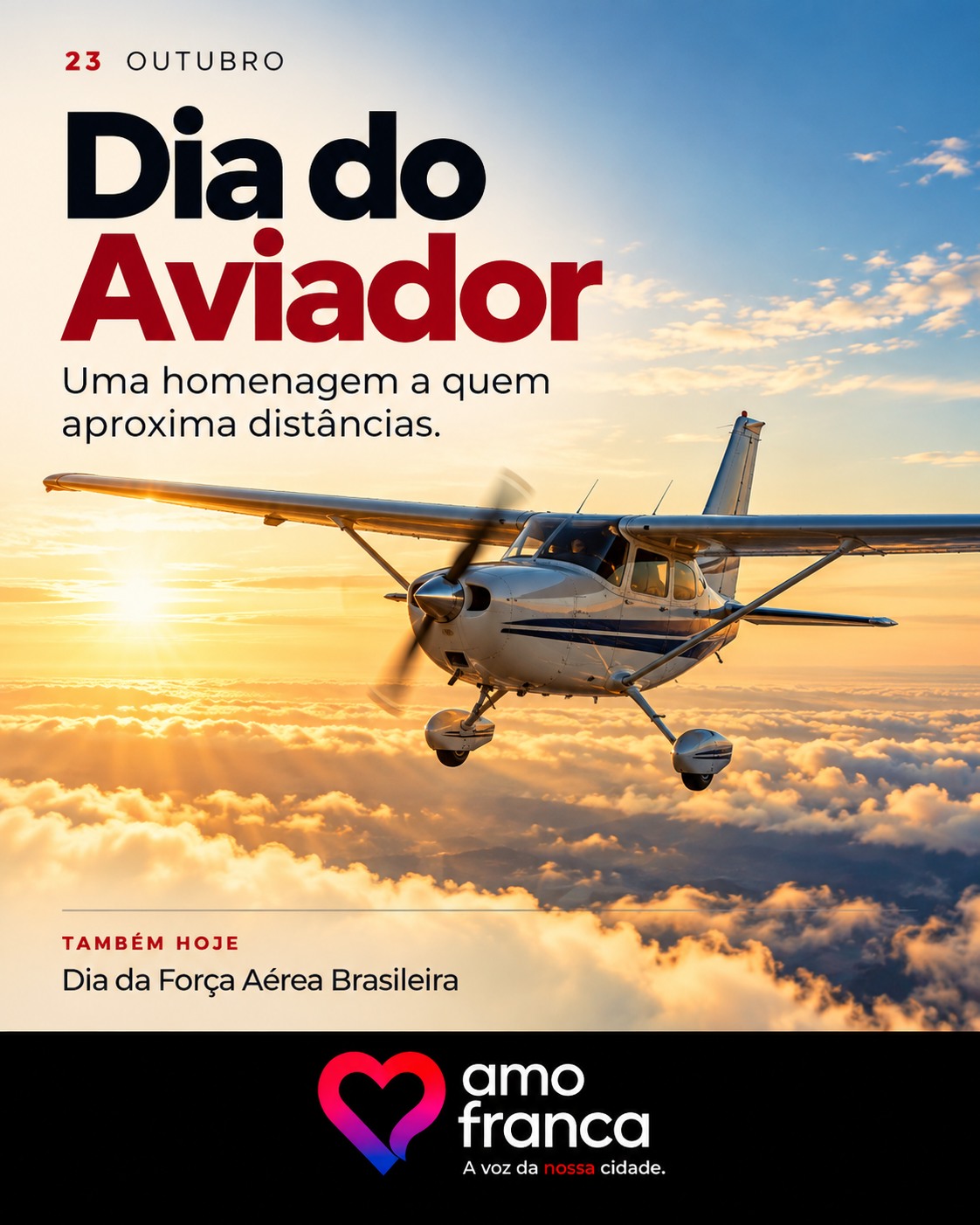 Dia do Aviador